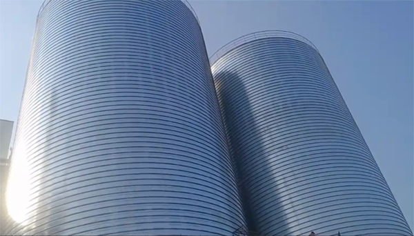 阜新2座混凝土高架卷板仓